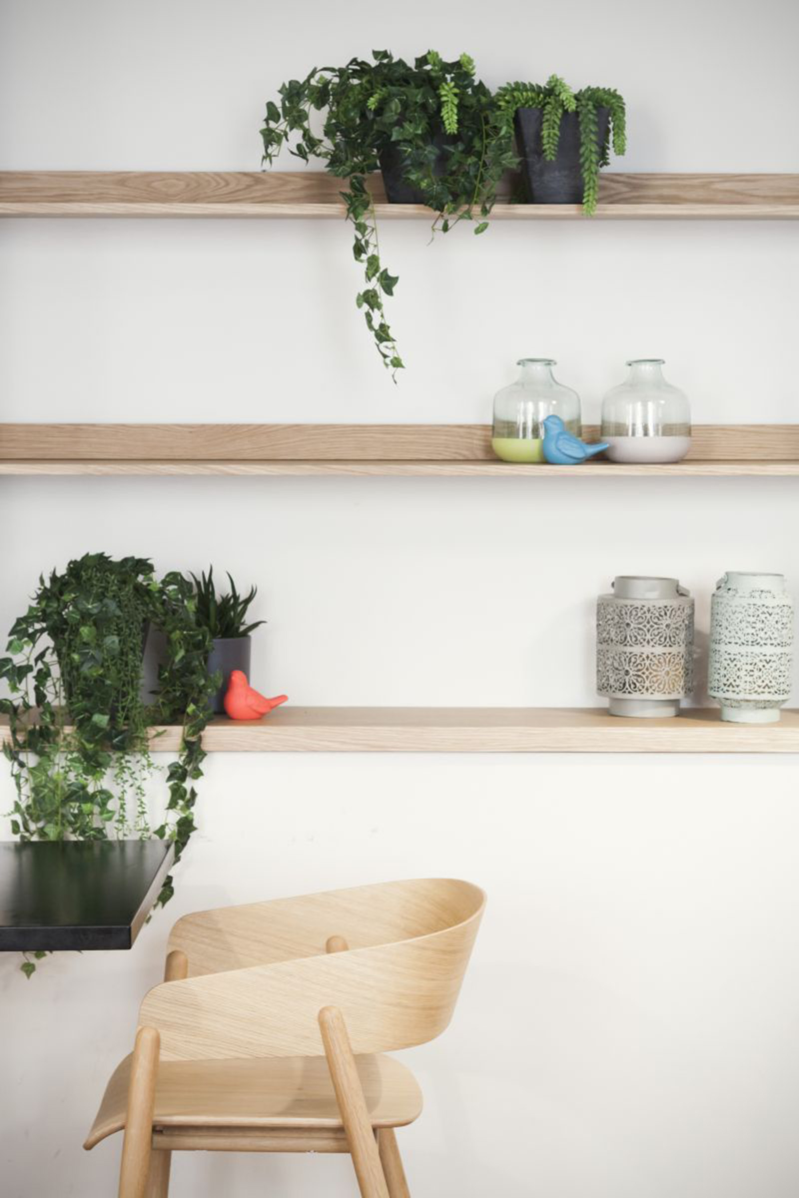 Studio Stephanie Jasny