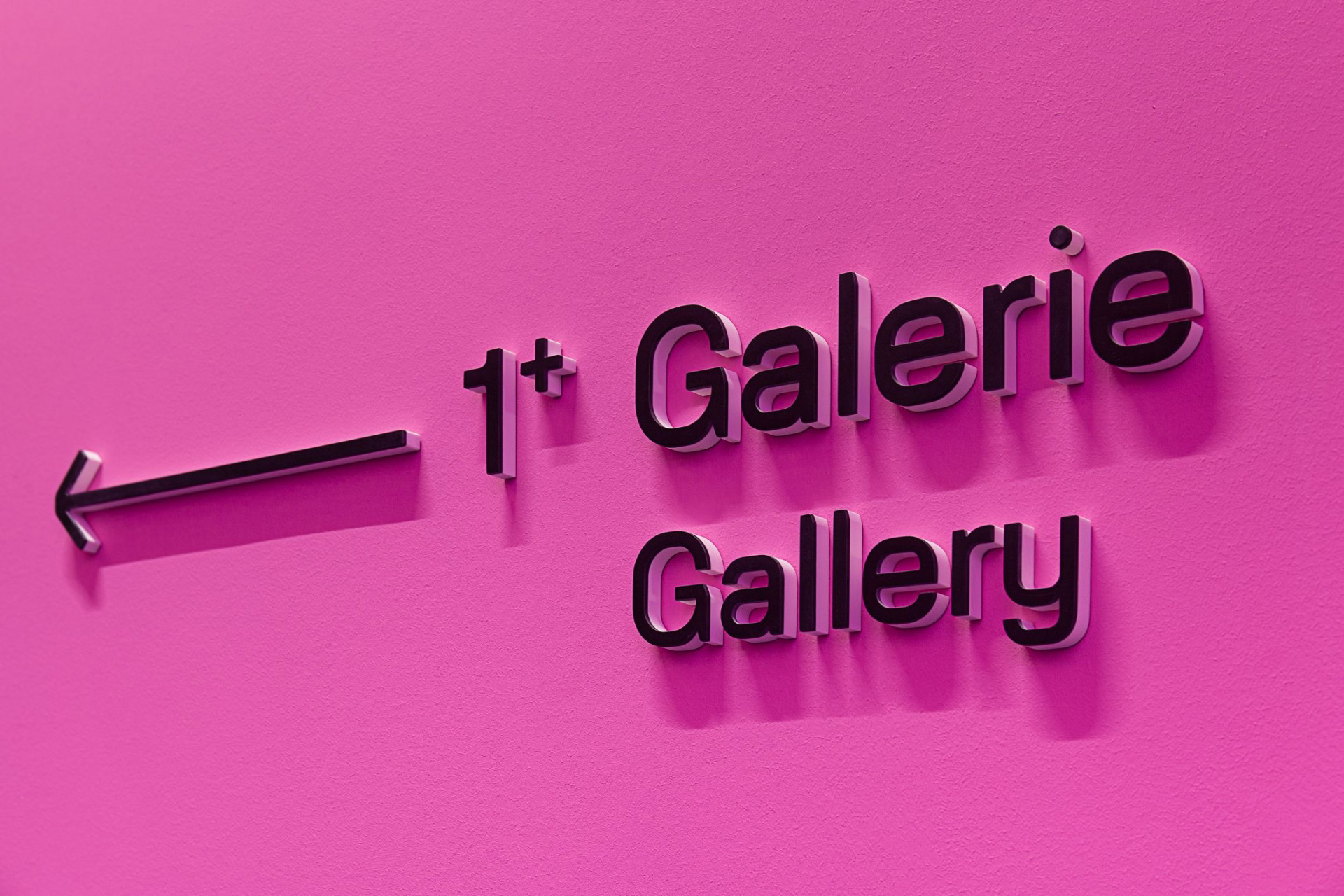 Studio Stephanie Jasny